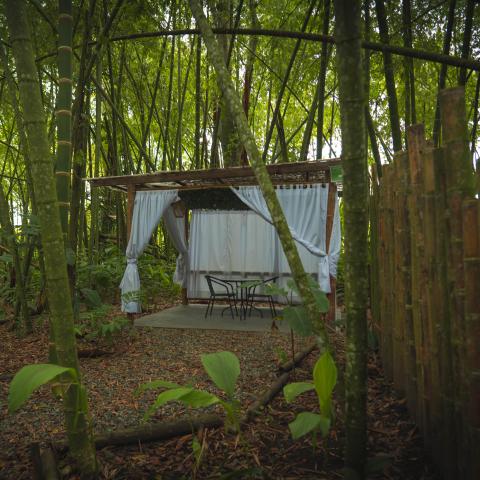 bosque guadua glamping siko