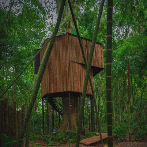 Casa arbol naturaleza glamping